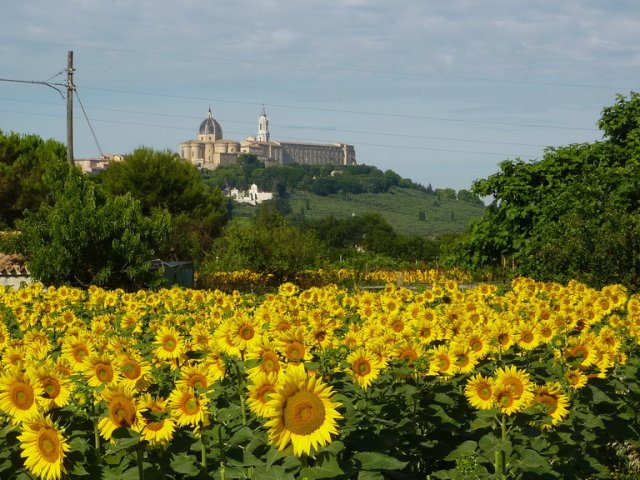 2015